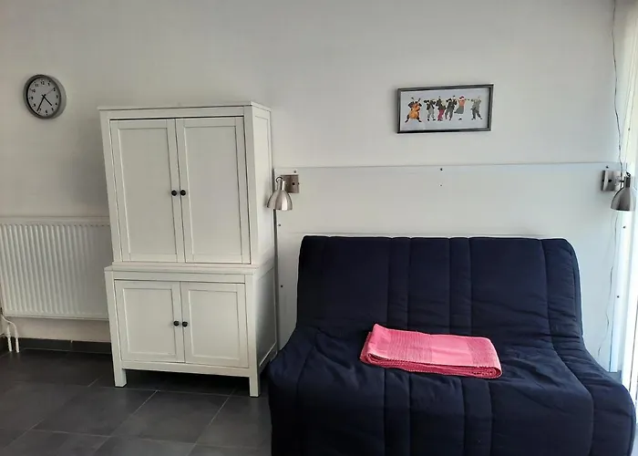 Le Palais - Appartement Au Centre Ville Avec Parking Prive